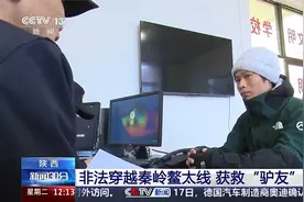 #鳌太线徒步死亡事件超50起##驴友闯禁区获救被罚5000元#视频封面