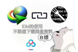 IDM的使用教程