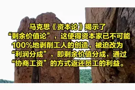 马克思“剩余价值论”推动资本主义制度弃恶从善视频封面