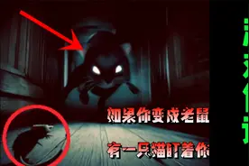 当你睡醒变成了一只老鼠！而旁边还有一堆猫视频封面