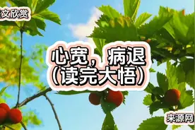 心宽，病退（深度好文）视频封面