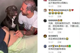 外国宠物狗和婴儿和谐相处，各国网友对宠物狗都是什么看法？视频封面