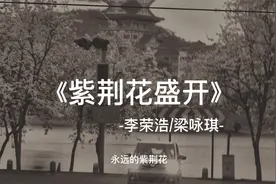 永远的紫荆花 在爱之下，香港回归25周年主题曲