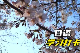 日语学习打卡2025-03-30视频封面