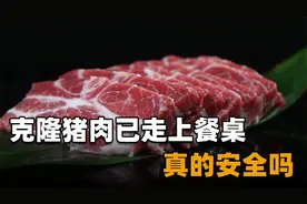 克隆技术真的安全吗？克隆猪肉早已走进千家万户，你可能天天都吃