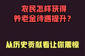 农民怎样获得养老金待遇提升？从历史贡献看让你震惊视频封面