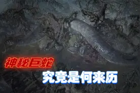 亲生父母惨遭欺骗，拉斯玛才是最后赢家？暗黑4的巨蛇到底是什么