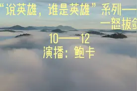 一怒拔剑10——12视频封面