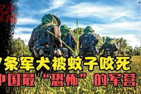 7条军犬被蚊子咬死，每天灭蚊超过20脸盆，中国最“恐怖”的军营视频封面