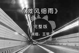 王菲演唱《微风细雨》完整版，纯净空灵，这是洗涤灵魂的嗓音！视频封面