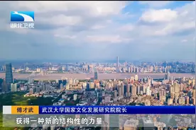 传承荆楚文化精神 建设长江文化高地视频封面