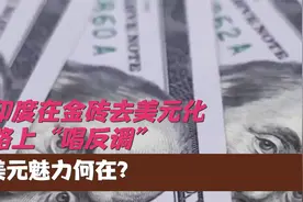 印度在金砖去美元化路上“唱反调”，美元魅力何在？视频封面