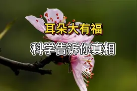 耳朵大有福？这不是迷信，科学告诉你真相视频封面