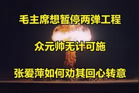 毛主席想暂停两弹工程，众元帅无计可施，张爱萍如何劝其回心转意视频封面