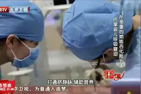 怀孕7月被迫生下巴掌大的婴儿，在医生细心呵护下终于顺利成长！