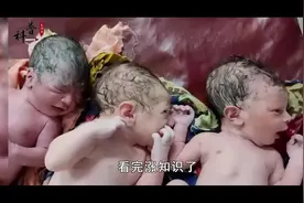 为啥婴儿刚出生就会哭个不停，是因为不开心吗？看完涨知识了