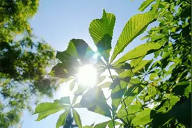 非常好聽👍流行鋼琴曲 _ 早上最適合聽的輕音樂 - 超好听的钢琴曲视频封面