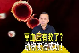 高血压有救了？美国纳米粒子疏通血管，大型动物试验成功！