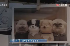 苏童也成为“潦草小狗”家族中的一员啦~视频封面