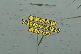 窝子冒泡如开锅，招数用尽也没鱼，有鱼星不给口的水下真相来了视频封面
