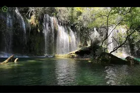 坂井泉水-Good-bye My Loneliness视频封面