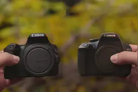 佳能 250D 与 佳能1200D：2023 年是否依然出色？