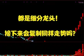 机器人板块牛股遍地！居然还有涨幅不到10%的细分龙头公司？视频封面