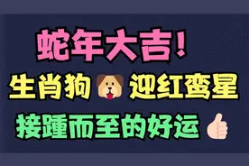 蛇年大吉！生肖狗🐶迎红鸾星，接踵而至的好运👍🏻