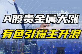 沪指放量上涨创年内新高！贵金属大涨有何重大利好？视频封面