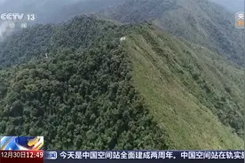 中国人在缅北被明码标价交易视频封面