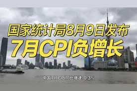 国家统计局8月9日发布了7月居民消费指数 CPI为负增长 通缩会持续视频封面