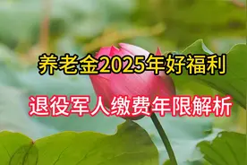 养老金2025年好福利，退役军人缴费年限解析，秒懂不踩坑周知视频封面