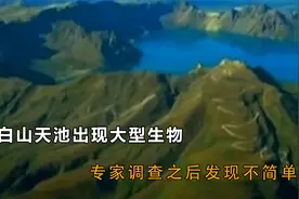 长白山天池出现大型生物，专家调查发现不简单视频封面