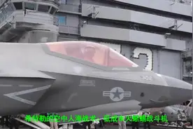 希特勒的空中人海战术：低成本火蜥蜴战斗机，德军的人民战机视频封面