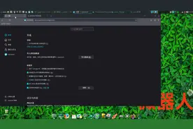 安全没广告的浏览器librewolf怎么设置成中文怎么变成中文