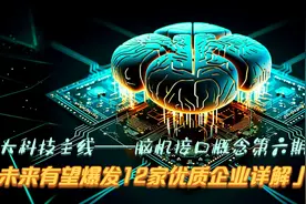 未来有望爆发的脑机接口概念12家优质企业详解（第六期）视频封面