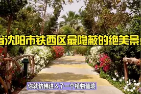 辽宁省沈阳市铁西区最隐蔽的绝美景点