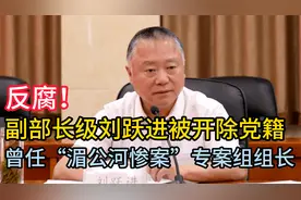 反腐！副部长级刘跃进被开除党籍 曾任“湄公河惨案”专案组组长视频封面