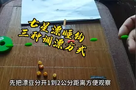 七星漂睡钩的三种调钓方式，钓底钓浮大鱼小鱼都能轻松应对视频封面