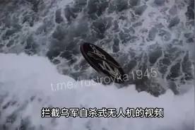 俄军新武器首秀！便携巡飞弹凌空击爆自杀无人机，战场实测显神威视频封面