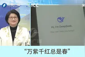 雷倩：万紫千红总是春！打破“美式”游戏规则 DeepSeek独领风骚视频封面