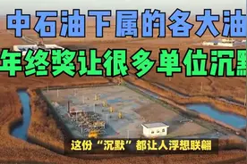 中石油下属的各大油田，年终奖让很多单位沉默了，不能比都是泪视频封面