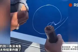 男子钓到一条深海鱼 上来太快结果炸膛了视频封面