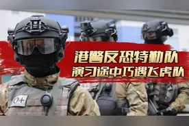专业的港警反恐特勤队，在联合演习任务中，巧遇饰演反派的飞虎队