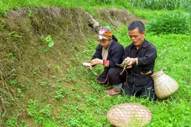 矮人夫妻找到了一条发财之计，捕抓青蛙回来，自己人工养殖！