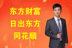 情绪龙头：东方财富，日出东方，同花顺