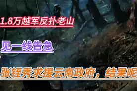 1.8万越军反扑老山，见一线告急，张铚秀求援云南政府，结果呢？视频封面