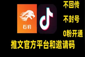 抖音故事 推文项目 教程  #推文  #小说推文   #右豹