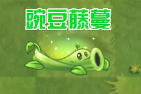植物大战僵尸：国际版“豌豆藤蔓”！带你们了解一下视频封面