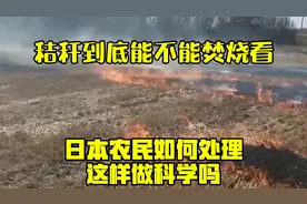 秸秆到底能不能焚烧？看日本农民如何处理，这样做科学吗？视频封面